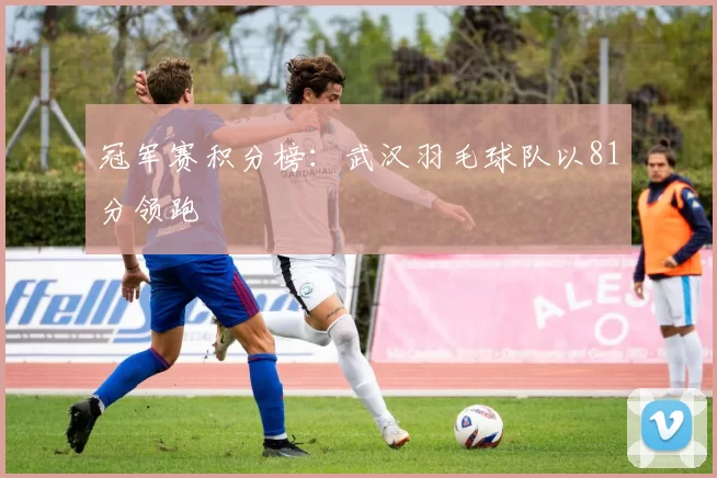 冠军赛积分榜：武汉羽毛球队以81分领跑