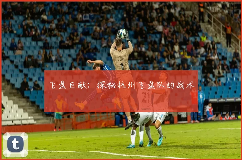 飞盘巨献：探秘杭州飞盘队的战术