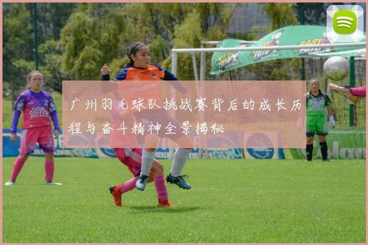 广州羽毛球队挑战赛背后的成长历程与奋斗精神全景揭秘