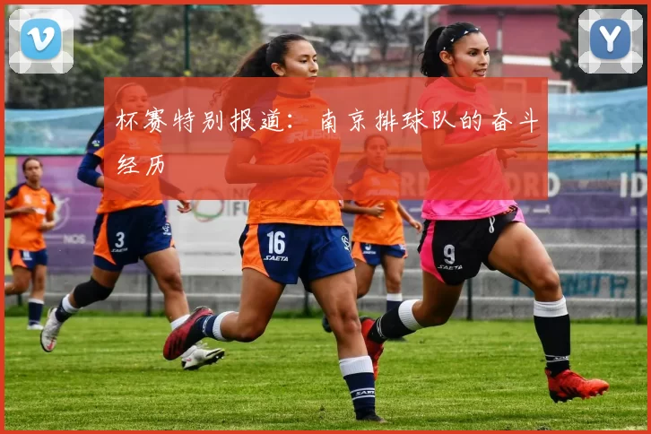 杯赛特别报道：南京排球队的奋斗经历