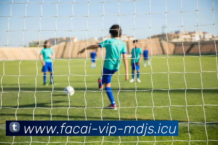 华体会体育品牌故事