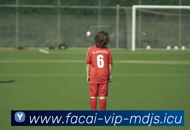 华体会体育服务体系